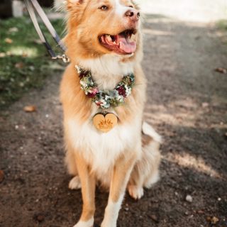 Auch eure Liebsten kommen am Hochzeitstag nicht zu kurz 🥰❤️

_____________________________
📸 Ann-Christin Wegmann Fotografie 
✨ Echte Glücksmomente, wertvolle Erinnerungen! 

HOCHZEITSFOTOGRAFIE
FOTOGRAFIN
VECHTA BREMEN OLDENBURG OSNABRÜCK